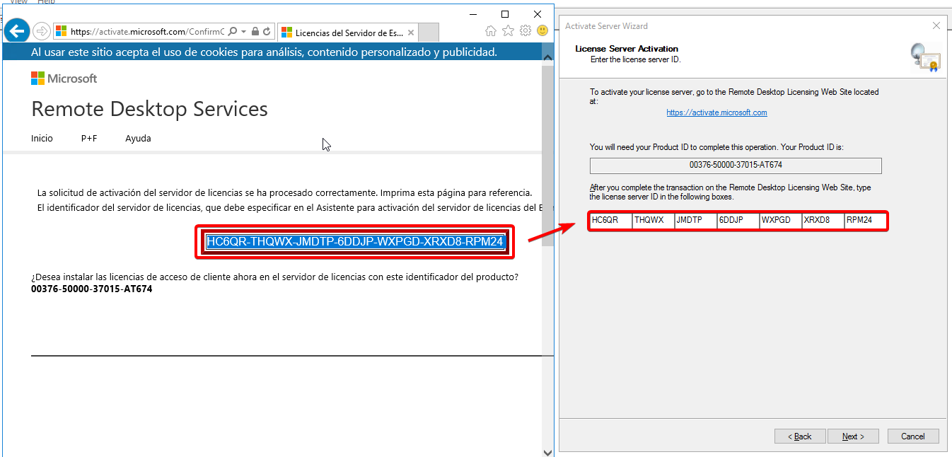 Licencias-Terminal-06.png