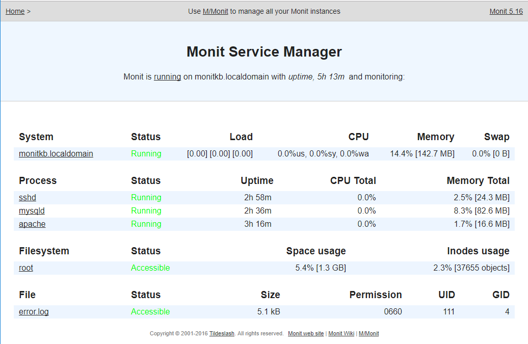 Monit-01.png