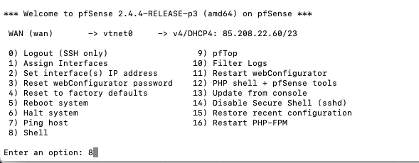 pfsense_shell_option.png