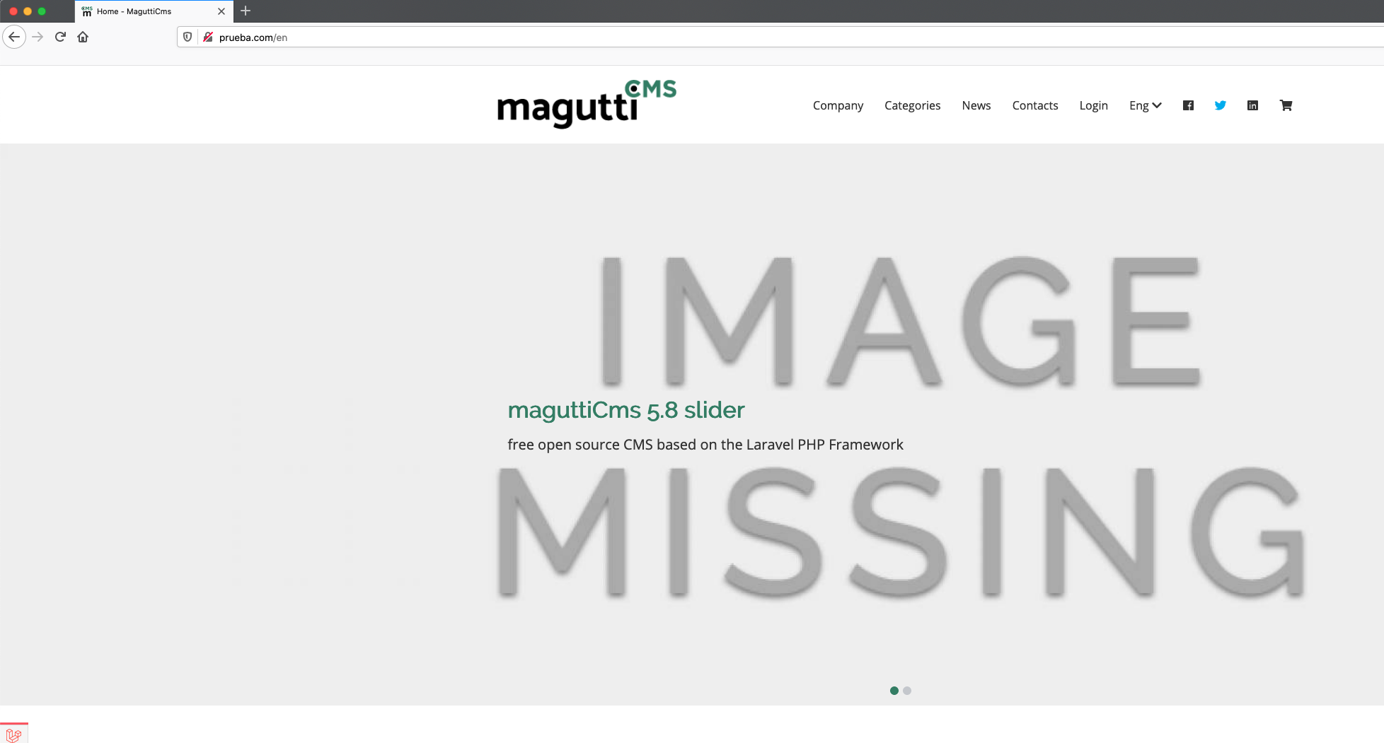 MaguttiCMS.png